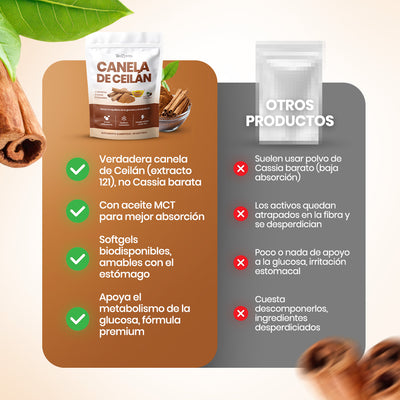 Biozentra - Ceylon Cinnamon 12:1 with MCT Oil