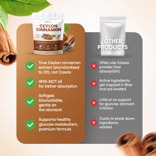 Biozentra – Ceylon Cinnamon 12:1 with MCT Oil