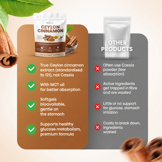 Biozentra – Ceylon Cinnamon 12:1 with MCT Oil