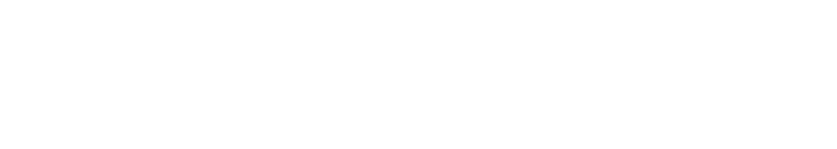 Vision Pure